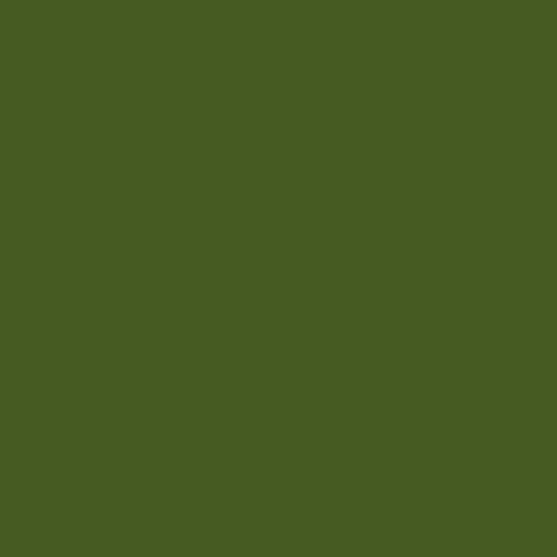 148 Forest Background